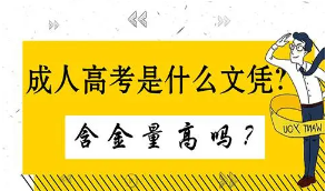 2021年成人高考哪些專業(yè)對口公務(wù)員考試呢？